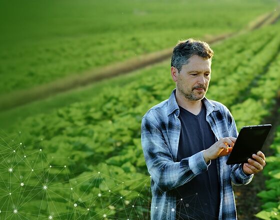 Accelerating Innovation for a Food & Agribusiness Company