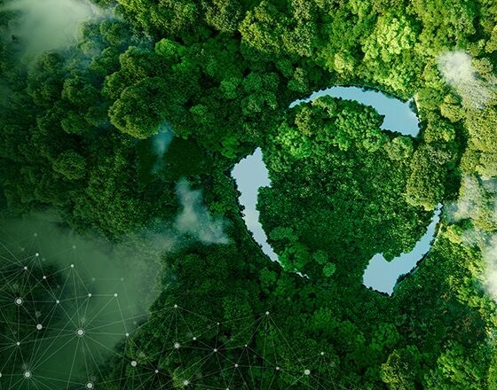 Transforming Data Operations for a Sustainability Leader